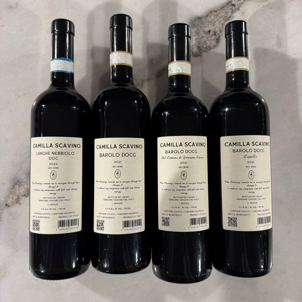 Camilla Scavino introduction box